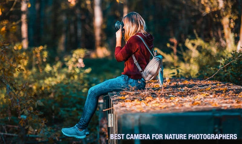 Best Camera for Nature Photographers